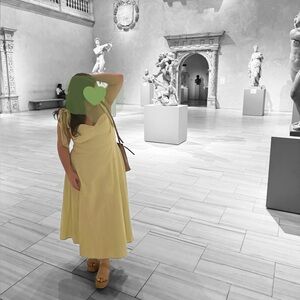 Showpo Light Green Tie Strap Midi Dress Cottagecore Summer